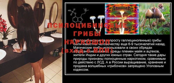 хмурый Балахна